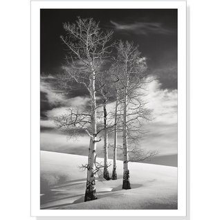 Download Ode to Winter Holiday Boxed Cards (Christmas Cards, Holiday Cards, Greeting Cards) - NOT A BOOK file in ePub
