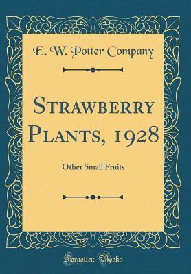 Read Strawberry Plants, 1928: Other Small Fruits (Classic Reprint) - E W Potter Company file in ePub