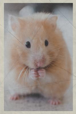 Download 2020: Syrian Hamster Chic Planner Calendar Organizer Daily Weekly Monthly Vintage Retro Poster Style for Notes on Teacup Animals -  | PDF