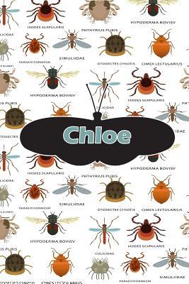 Read online Chloe: Bug Insect Draw and Write Journal Notebook 120 Pages 6x9 -  file in ePub