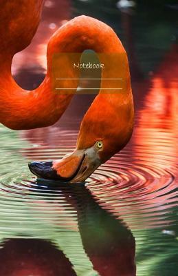 Download Notebook: Dotted grid Journal. Bullet Diary. Ideal for Notes, Memories, Journaling, Creative planning and Calligraphy practice. 120 Pages. Soft matte cover. Portable. 5.5 x 8.5. Great gift idea. (Flamingo cover). -  file in PDF