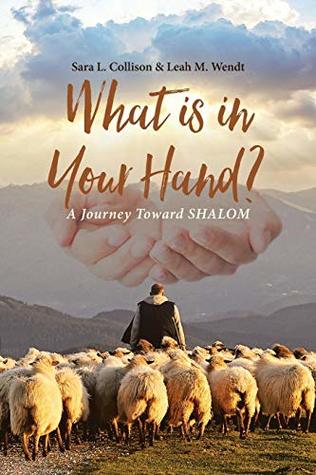 Read online What Is in Your Hand?: A Journey Toward Shalom - Sara L Collison file in ePub